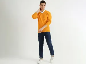 Mens V-Neck Solid Sweater