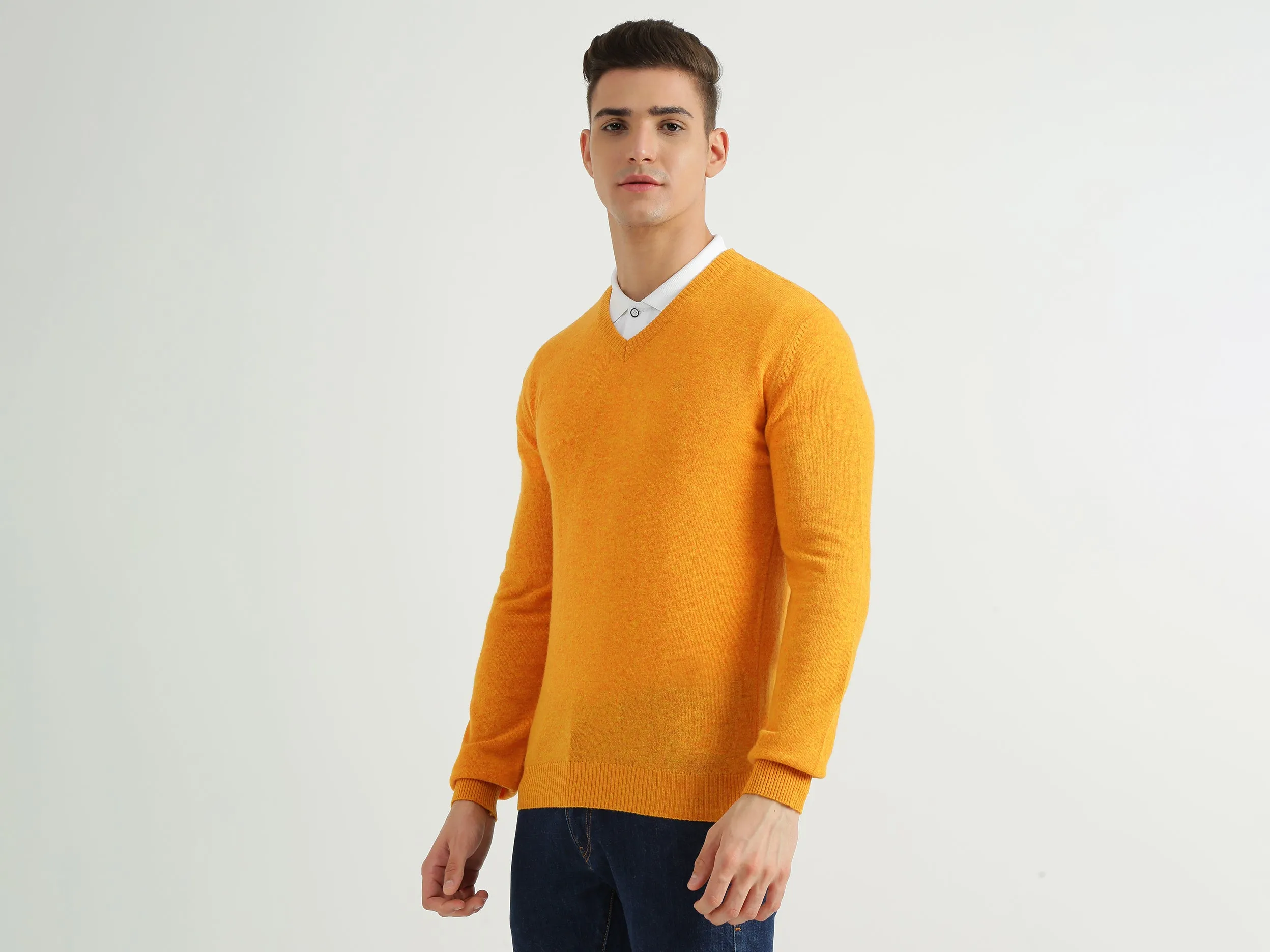Mens V-Neck Solid Sweater